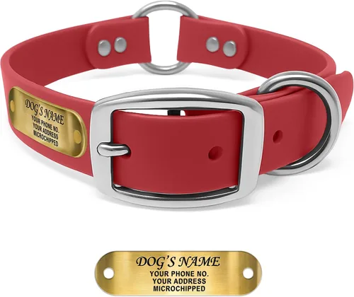 Vista 12 de Regal Dog Products Collar de Perro Naranja Mediano con Placa de Nombre Grabada Personalizada - Ajuste Personalizado, Resistente, Fácil de Limpiar