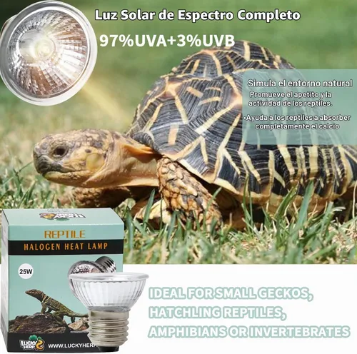Vista 3 de LUCKY HERP Paquete de 4 bombillas de luz para reptiles UVA UVB de 25W, bombillas de lámpara de calor para reptiles y anfibios, bombilla de luz