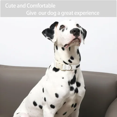 Vista 4 de Aring Pet Collar de algodón, ajustable, con hebilla de liberación rápida, para bodas, para perros pequeños, medianos y grandes, blanco