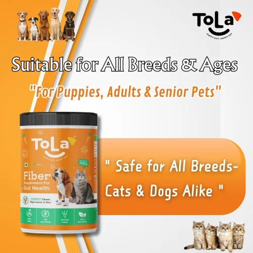 Vista 5 de Suplemento Gut Health para perros y gatos Sabor a zanahoria Decoración de nutrición diaria con enzimas digestivas Apoya la digestión, alivio