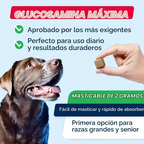 Vista 7 de STRELLALAB Glucosamina avanzada para perros, colágeno y mejillón de labios Cadera y articulaciones avanzadas