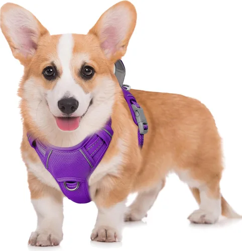 Vista 58 de BARKBAY Arnés para Perro Sin Tirones Talla Grande Arnés Reflectante para Perro con Clip Frontal y Asa de Control Fácil para Caminar Entrenar Correr