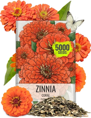 Vista 19 de Seed Needs State Fair - Semillas de zinnia para plantar flores cortadas mixtas, 1 paquete 4-Mezclado