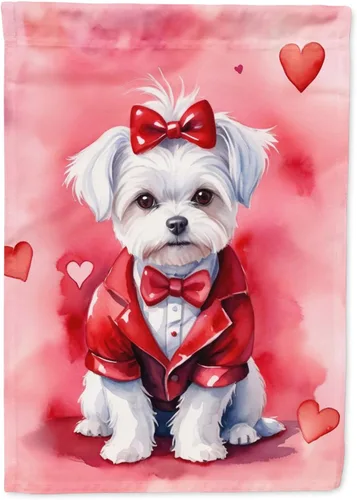 Vista 151 de Caroline's Treasures DAC5252GF Affenpinscher - Bandera de jardín con texto en inglés "My Valentine", bandera decorativa para patio exterior, patio