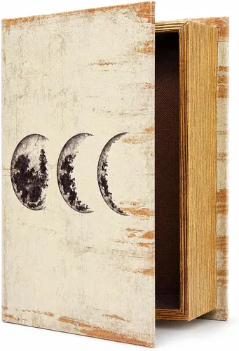 Vista 26 de PACOLO Cajas de libros decorativas, cubierta de madera sintética para almacenamiento oculto de joyas, dinero y efectivo (Avión)