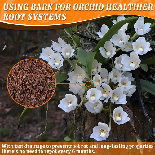 Vista 3 de AVALUTION Corteza para macetas de orquídeas: corteza de orquídea orgánica de 3 cuartos para plantas, todos los chips de madera de corteza de pino