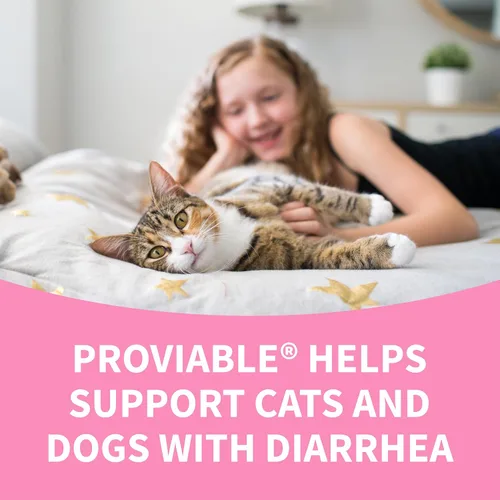 Vista 9 de Nutramax Proviable Probióticos para Perros y Gatos, Suplemento Diario para la Salud Digestiva con Múltiples Cepas de Bacterias, Probióticos