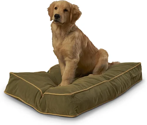 Vista 16 de South Pine Porch Buddy - Cama rectangular reversible de microfibra para perro con funda extraíble, lavable a máquina, cacao, extra pequeña