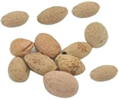 Vista 2 de 10 semillas japonesas de bonsái de flor de cerezo - Semillas de bonsái Sakura en flor