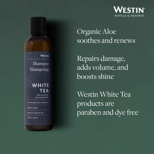 Vista 4 de Westin Champú de aloe de té blanco, champú lleno de vitaminas y antioxidantes para todo tipo de cabello, aroma a aloe de té blanco, 8 onzas