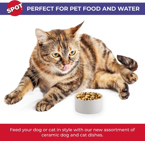 Vista 3 de SPOT Gres Cerámico - Cuenco para Mascotas para Gatos, Gatitos y Mini Perros, Cuenco de Cerámica Clásico Resistente Antideslizante para Alimentos
