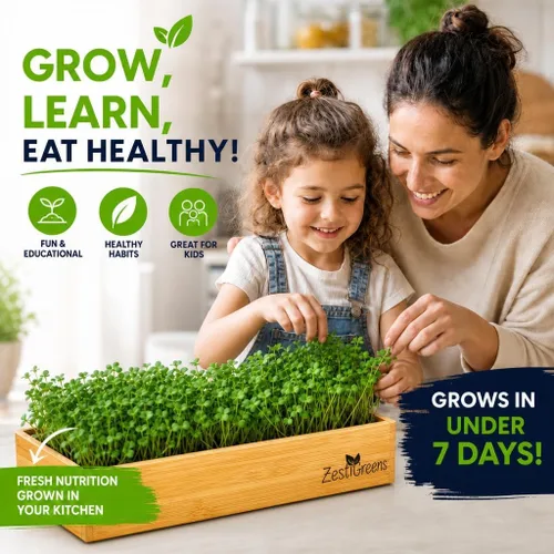 Vista 6 de Kit de cultivo de microgreens de riego automático, la forma más fácil de cultivar microverduras frescas en casa. Incluye bandeja reutilizable