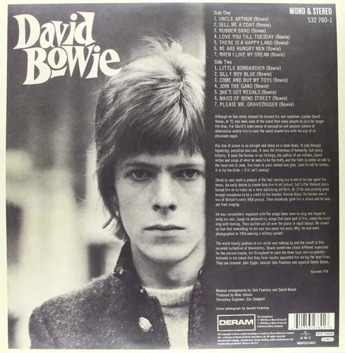 Vista 2 de David Bowie