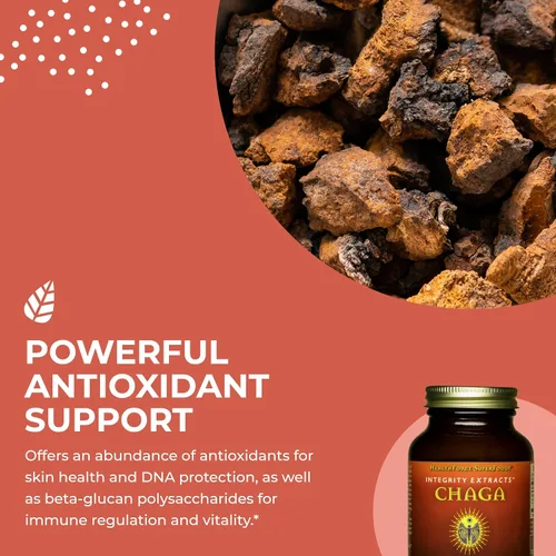 Vista 4 de HealthForce SuperFoods Integrity Extracts Chaga - Polvo - 2.47 oz