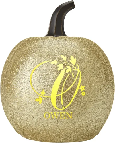 Vista 13 de Let's Make Memories - Lámpara de calabaza con nombre - Adorno de otoño - Calabaza luminosa de uso interior/exterior - Nombre e iniciales