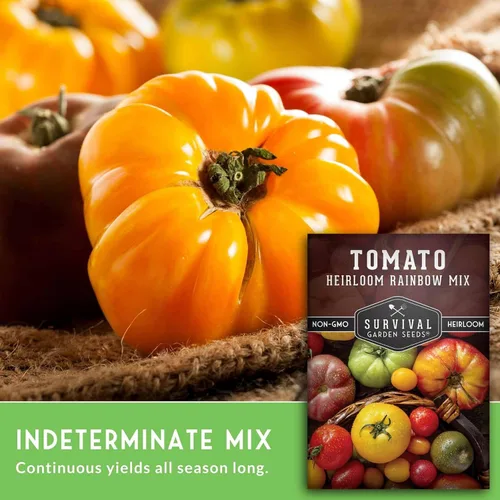 Vista 5 de Heirloom Rainbow Mix Semillas de tomate para plantar, 1 paquete Colorful Tomatoes Seed Blend, High Yield Garden Varieties, Non-GMO Open-Pollinated