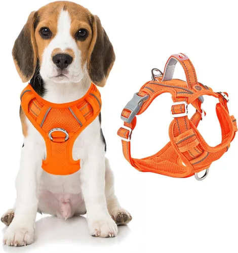 Vista 12 de BARKBAY Arnés Oxford sin tirones para perro con bolsillo para etiqueta de identificación, resistente, reflectante, fácil control para perros grandes