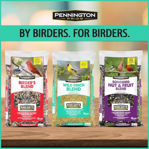 Vista 7 de Pennington - Pride Wild Finch - Mezcla de semillas para pájaros silvestres, 10 libras