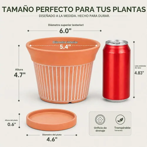 Vista 2 de Cedilis Paquete de 2 macetas de terracota de 6 pulgadas con drenaje