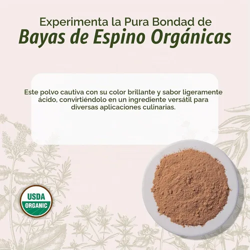 Vista 2 de Starwest Botanicals Polvo de bayas de espino orgánico, sin OMG, bolsa a