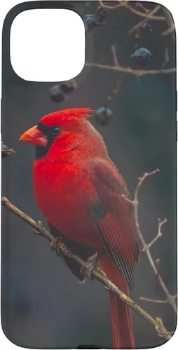 Vista 9 de Funda para iPhone 16 Cardinal Bird