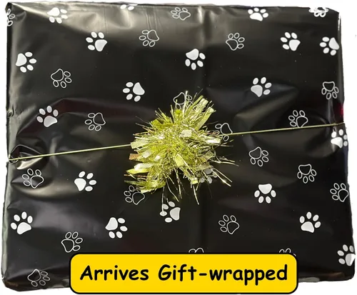 Vista 6 de PetArt.us Perro de Presa Canario - Impresión artística personalizada - Nombre de mascota personalizado, regalo para los amantes de los perros