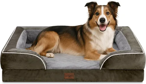 Vista 197 de Comfort Expression - Cama ortopédica para perros medianos, 28 x 19 pulgadas, cama impermeable y de apoyo de espuma con cojines removibles, sofá
