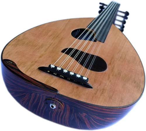 Vista 6 de Especial árabe eléctrico Oud Ud Aoud cuerda musical Oud Instrumento PROUD-5
