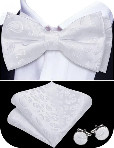 Vista 70 de Barry.Wang Pajarita de Rayas Paisley para Hombre de Seda Preatada Pañuelo de Bolsillo Gemelos Juego Formal Boda Fiesta Graduación