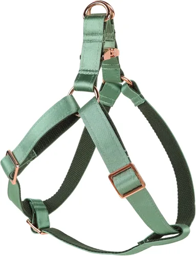 Vista 9 de Lionet Paws Arnés para perro, arnés de nailon de seda ajustable sin tirones con hebilla de metal para perros pequeños, fácil caminar, verde oscuro