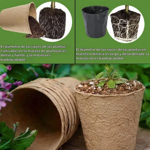 Vista 4 de 50 macetas pequeñas de turba compostable de 3.15 pulgadas con 25 etiquetas