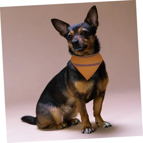 Vista 7 de Toalla triangular para mascotas, babero de seguridad para perro, bufanda reflectante para cachorro, bufanda reflectante para perro, bandana
