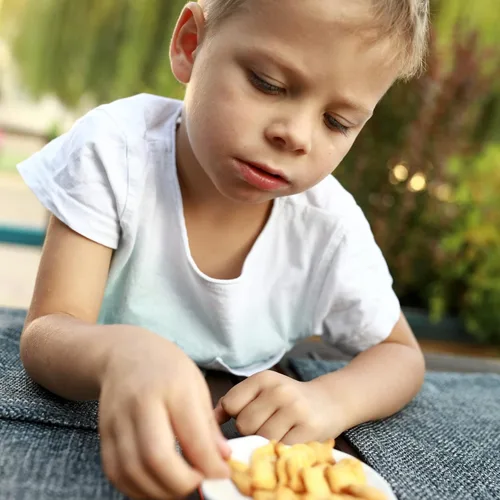 Vista 8 de Stauffers Paquete VALOR de galletas de animales: 2 originales y 2 galletas de chocolate de 72 onzas
