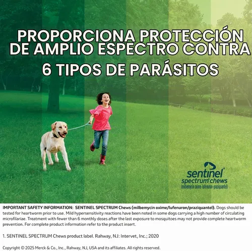 Vista 8 de SENTINEL SPECTRUM Masticables para perros, 50-100 libras, 6 masticables, suministro para 6 meses, caja azul