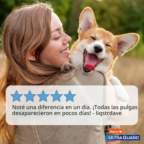 Vista 5 de Hartz UltraGuard Aerosol para Perros contra Pulgas y Garrapatas, Mata y Repele Pulgas y Garrapatas, 16 Onzas Spray para perros