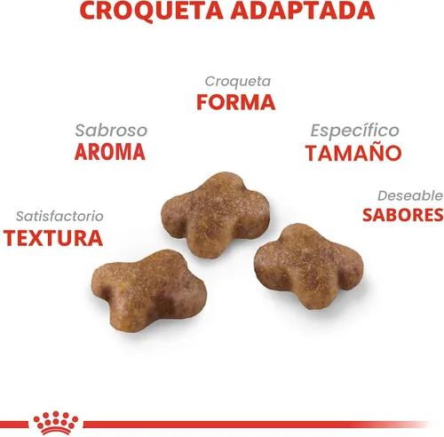 Vista 3 de Comida seca para gatitos de Royal Canin, Nutrición para la salud felina, Bolsa de 3.2 kg Formulado para gatitos de hasta 12 meses, apoya