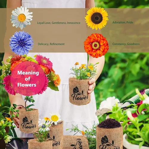 Vista 3 de Meekear Kit de iniciación para interiores 4 con kit de jardinería completo y caja de madera, para cultivar margarita Shasta, aciano, girasol, zinnia