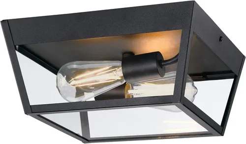 Vista 9 de Westinghouse Peterson - Lámpara de techo de montaje en superficie para exteriores, de 12 pulgadas, acabado blanco mate con vidrio de agua