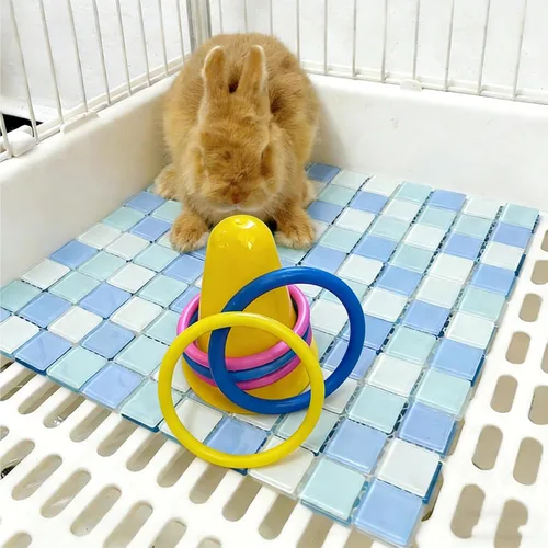 Vista 5 de Juguete interactivo de conejo para conejos, anillo de conejo, anillo de entrenamiento de 5 conejos, juguete adecuado para juegos en interiores
