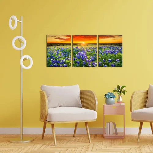 Vista 2 de Nachic Wall Cuadro de 3 piezas de puesta de sol para pared, hermoso campo de arándanos de Texas, pintura fotográfica sobre lienzo, póster de paisaje