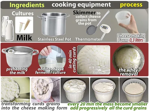 Vista 6 de PetriStor - Molde de queso pequeño para hacer queso de 1/3 cuartos de galón, forma de crema suave casera - Moldes para queso fresco casero - Feta
