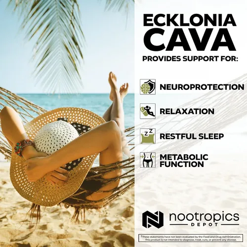 Vista 4 de Nootropics Depot Cápsulas de cava Ecklonia 250mg 0.5% Dieckol Algas marinas 60