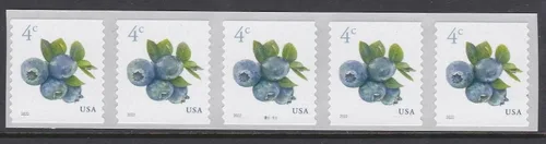 Vista 3 de Blueberries 2022 4 Cent (hoja de 20) Sellos postales adicionales denominados para uso por correo de cuatro centavos