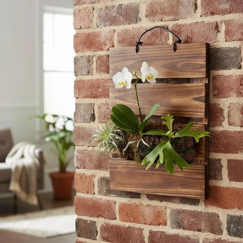Vista 9 de Kit de tablero de montaje para helecho Staghorn Dranvosk, maceta de pared de madera, soporte colgante para plantas verticales, Platycerium