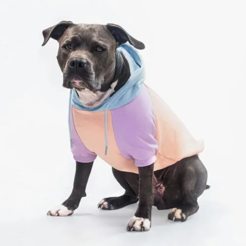 Vista 26 de Spark Paws Sudadera con capucha para perro, suéter de primera calidad para perros pequeños, medianos y grandes Trajes cálidos para bulldogs