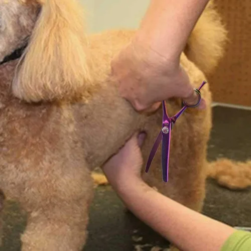 Vista 6 de PURPLEBIRD Tijeras curvadas hacia abajo de 7 pulgadas para peluquería para perros, tijeras texturizadoras de adelgazamiento, seguridad profesional