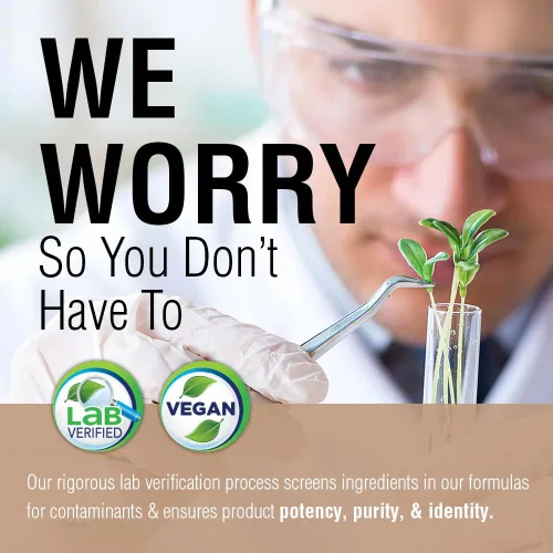 Vista 5 de SOLARAY Setas Reishi Fermentadas 500mg Apoyo para la Salud del Sistema Inmunológico, del Corazón y del Cerebro Suplemento para la Energía