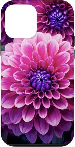 Vista 16 de Dahlia Flower Floral Nature Garden Funda con diseño granate rosa y morado para iPhone 16