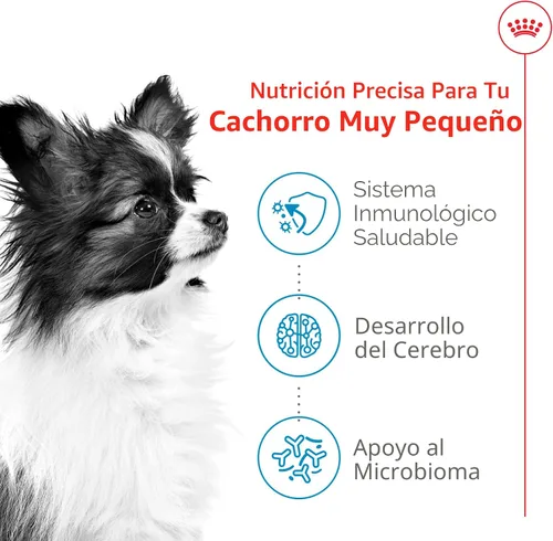 Vista 4 de De Royal Canin, Size Health Nutrition, comida seca para cachorros extra pequeños, comida para perros Specialized Nutrition for Extra Small Breeds