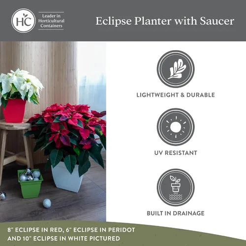 Vista 22 de The HC Companies, Eclipse - Maceta cuadrada de 12 pulgadas, con platillo, maceta para sembrar flores, verduras y hierbas en interiores y exteriores